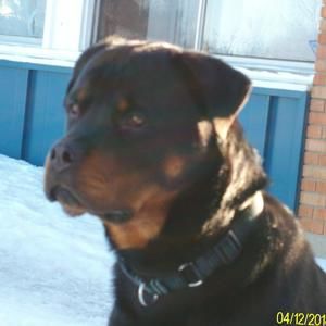 Meet your Posher, Sherry